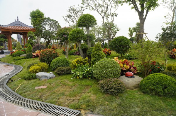 Bến phà Gianh thành công viên tưởng niệm, đánh thức ký ức tàu không số huyền thoại Bến phà Gianh thành công viên tưởng niệm, đánh thức ký ức tàu không số huyền thoại