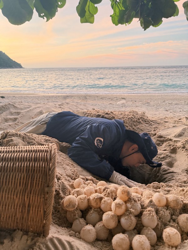 Chạm vào hơi thở đại dương: Hành trình bảo tồn rùa biển của chàng trai Tây Ninh Chạm vào hơi thở đại dương: Hành trình bảo tồn rùa biển của chàng trai Tây Ninh