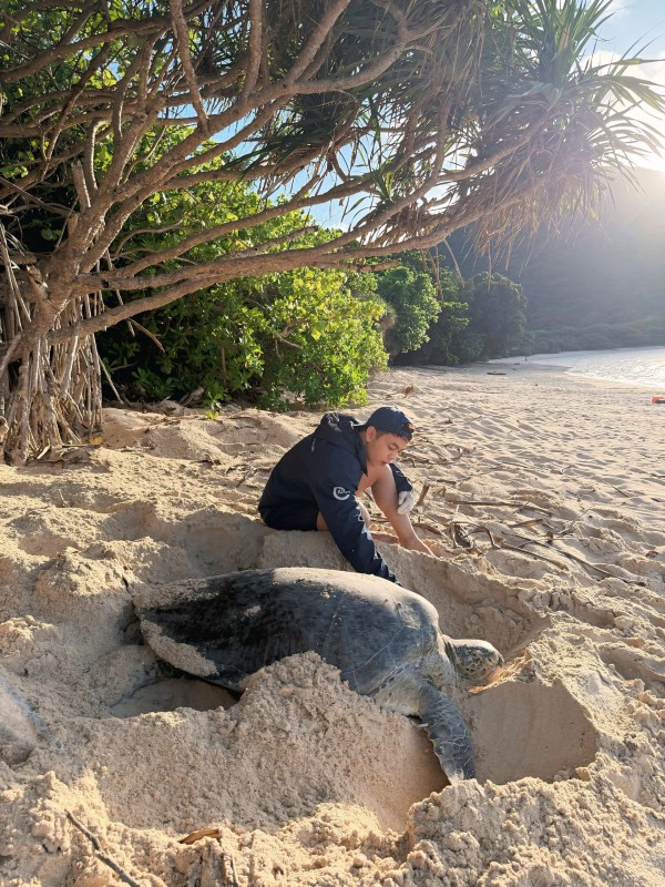 Chạm vào hơi thở đại dương: Hành trình bảo tồn rùa biển của chàng trai Tây Ninh Chạm vào hơi thở đại dương: Hành trình bảo tồn rùa biển của chàng trai Tây Ninh
