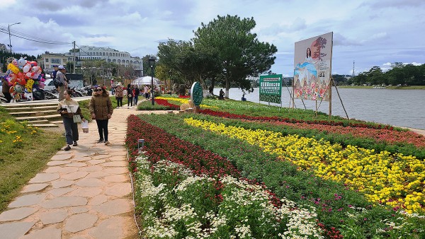 Chờ 'đại tiệc hoa’ ở Festival hoa Đà Lạt