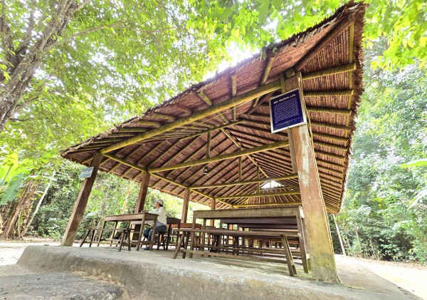 Di tích Căn cứ Trung ương Cục miền Nam: Huyền diệu dưới tán rừng Rùm Đuôn