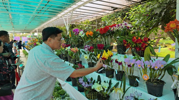 Festival Hoa Đà Lạt 2024: Mãn nhãn với hàng ngàn tác phẩm hoa, cây kiểng...