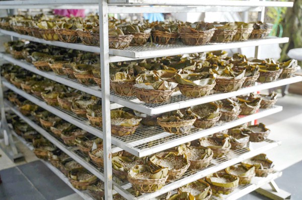 Giữ hương tết xưa: Bánh tổ - hương tết bàn thờ xứ Quảng