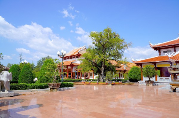 Hào khí nhà Tây Sơn vọng về từ ký ức: Cây me, giếng nước kể chuyện xưa Hào khí nhà Tây Sơn vọng về từ ký ức: Cây me, giếng nước kể chuyện xưa