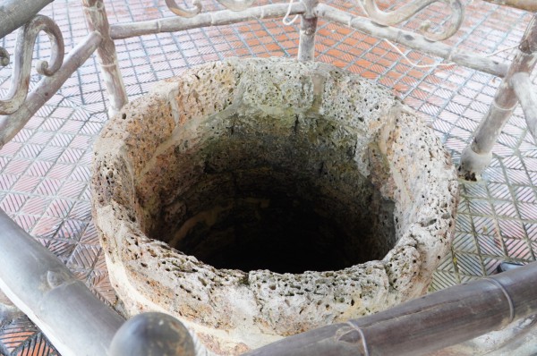 Hào khí nhà Tây Sơn vọng về từ ký ức: Cây me, giếng nước kể chuyện xưa Hào khí nhà Tây Sơn vọng về từ ký ức: Cây me, giếng nước kể chuyện xưa