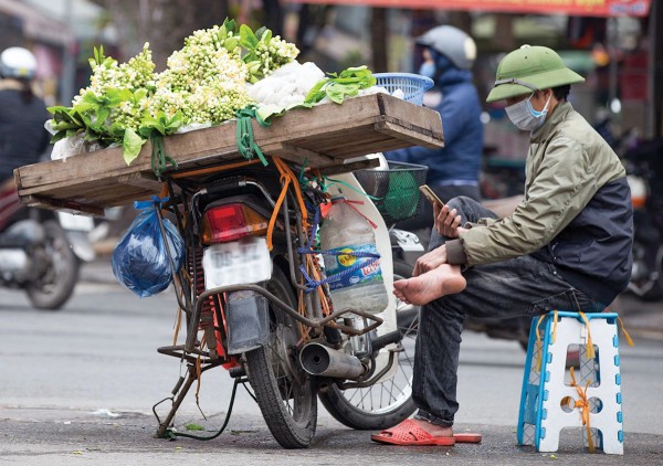 Hoa bưởi trắng - Truyện ngắn dự thi của Minh Ngọc