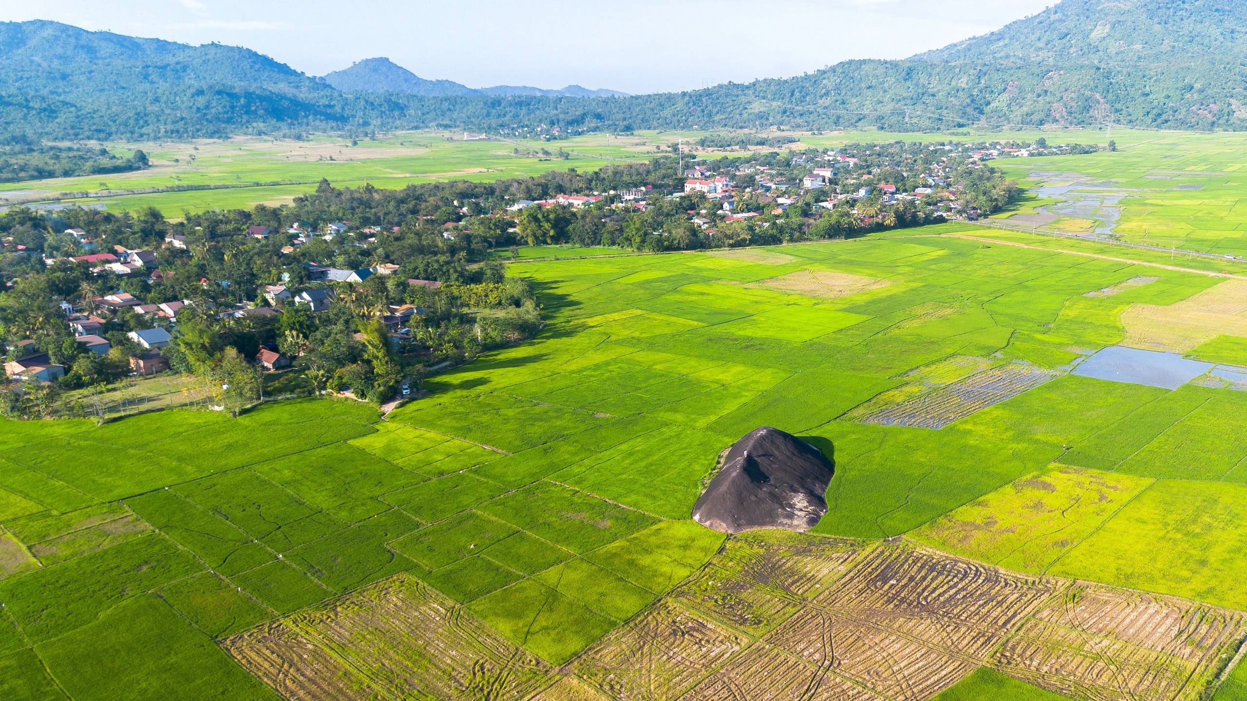 Hồi sinh gốm cổ Yang Tao