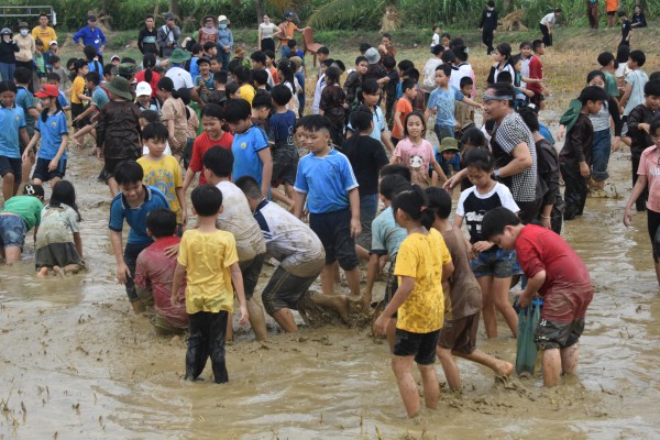 Kể chuyện dòng sông xứ Quảng: Sông Thoa - con sông đào dài nhất tỉnh Quảng Ngãi