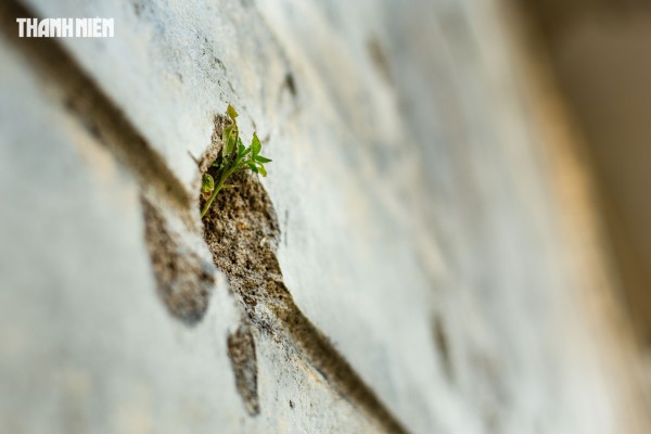 Khám phá nhà thờ gắn liền với 81 ngày đêm lịch sử tại Quảng Trị