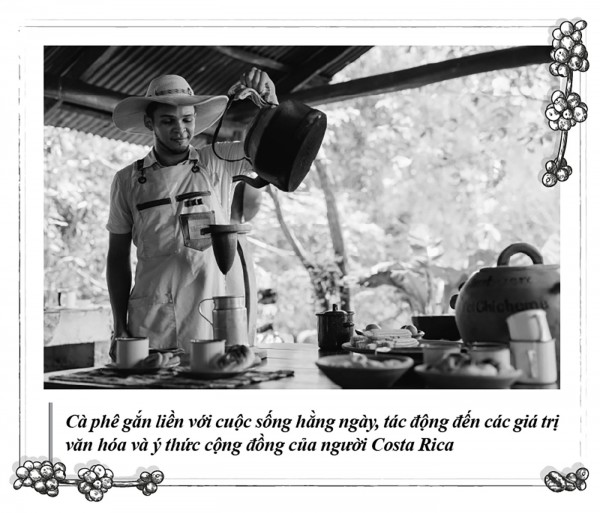 Kỳ 115: Cà phê, nền tảng phát triển toàn diện của Costa Rica