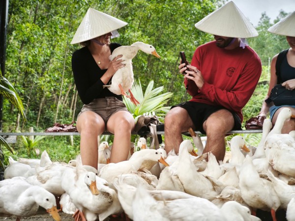 Làm du lịch từ những điều khác biệt: 'Massage vịt' hút khách Tây đến miền di sản