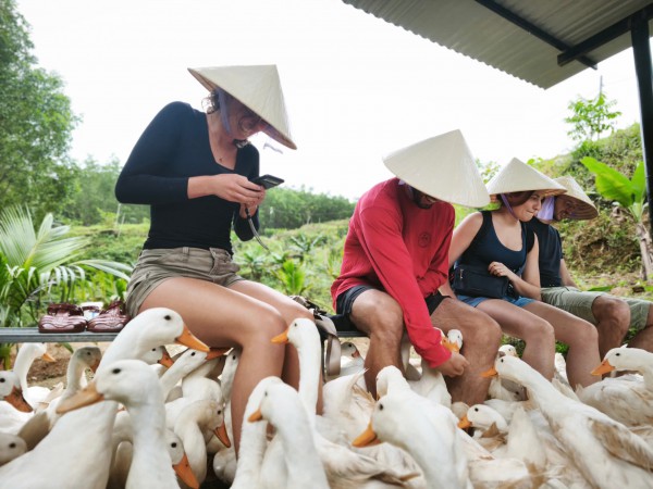 Làm du lịch từ những điều khác biệt: 'Massage vịt' hút khách Tây đến miền di sản