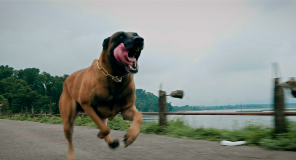 Lộ diện 'nhân vật đặc biệt' trong phim có Thanh Sơn đóng chính