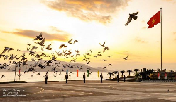 Nha Trang luôn mới qua góc nhìn Trần Anh Khoa