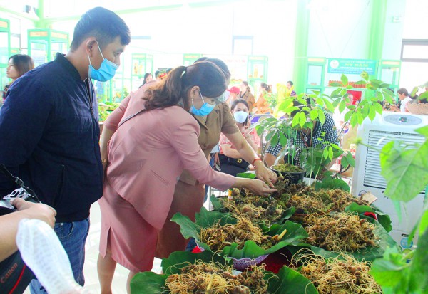 Những ngôi chợ độc đáo: Phiên chợ sâm tiền tỉ Những ngôi chợ độc đáo: Phiên chợ sâm tiền tỉ