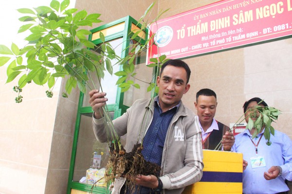 Những ngôi chợ độc đáo: Phiên chợ sâm tiền tỉ Những ngôi chợ độc đáo: Phiên chợ sâm tiền tỉ