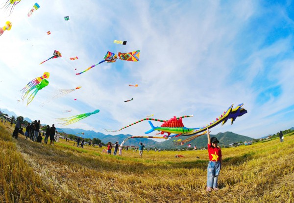 Những ngọn lửa hồng nơi thành cổ Những ngọn lửa hồng nơi thành cổ