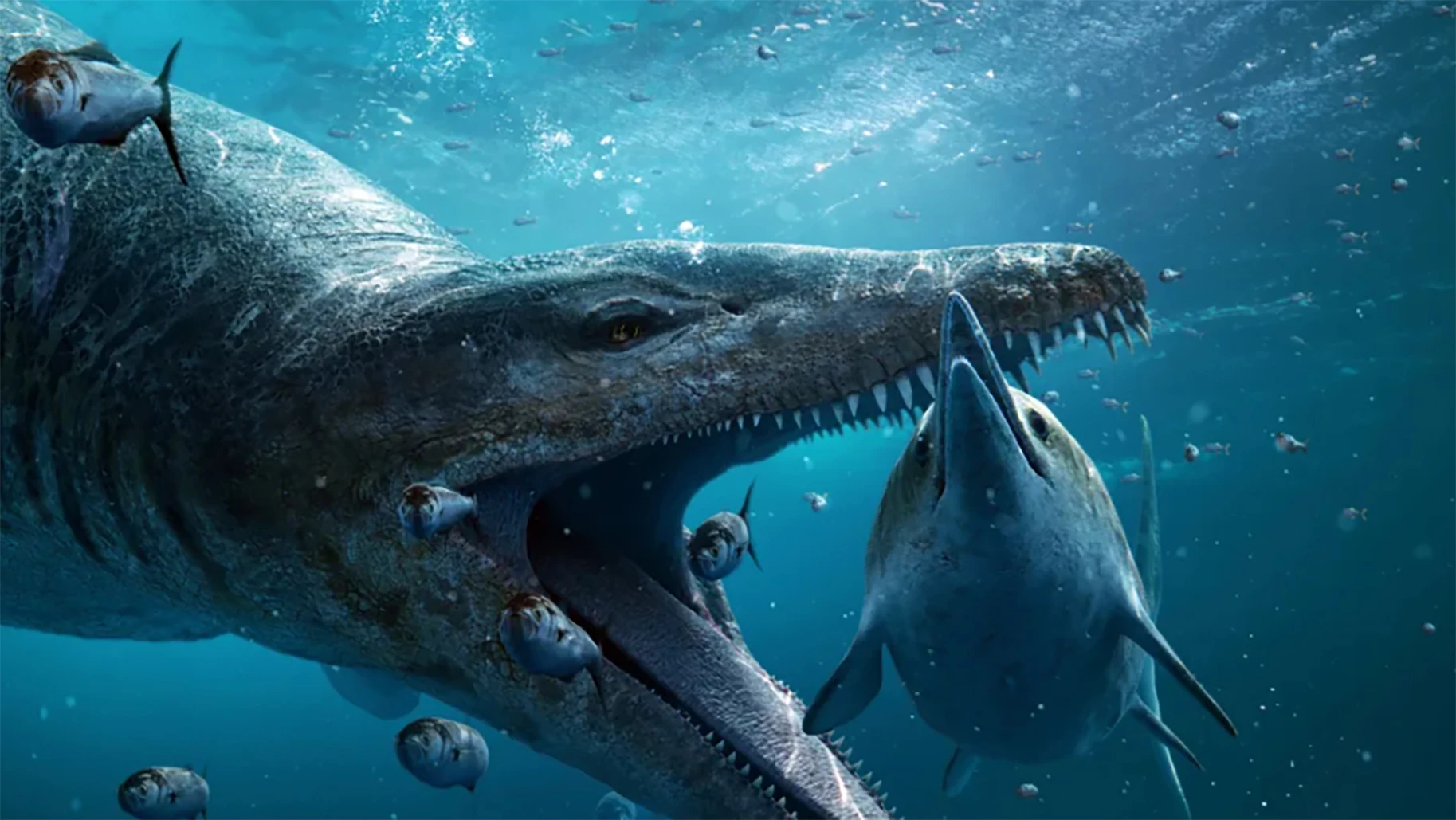 Phát hiện hộp sọ khổng lồ của quái vật biển thời tiền sử ở Anh