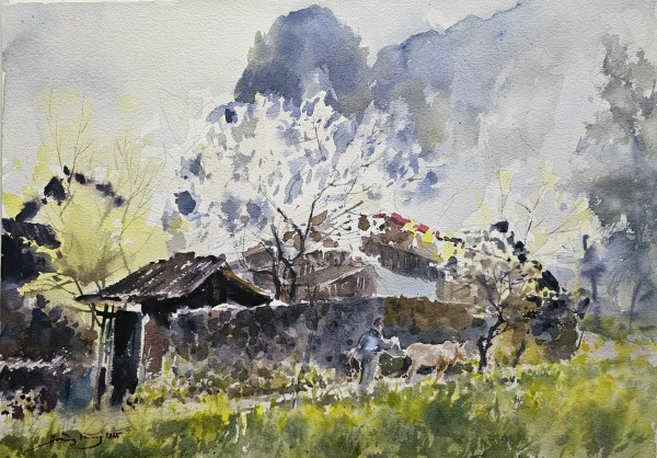 Phố cổ Đồng Văn - chợ đá và nhà trình tường