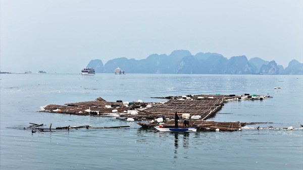 Rác thải 'uy hiếp' vịnh Hạ Long