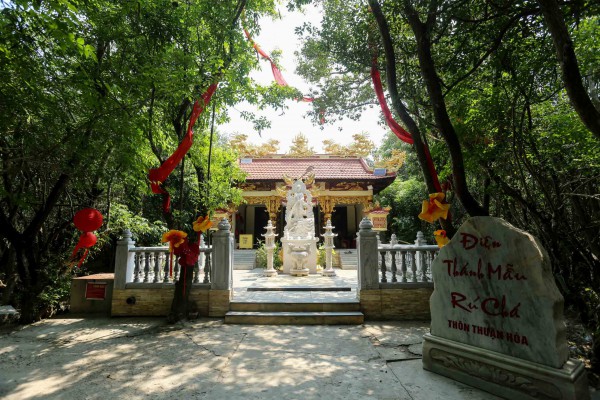 Rừng thiêng giữa phố: Huyền tích dưới tán rừng Rú Chá Rừng thiêng giữa phố: Huyền tích dưới tán rừng Rú Chá
