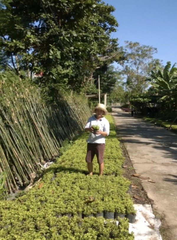 Sống đẹp với niềm đam mê cây cảnh