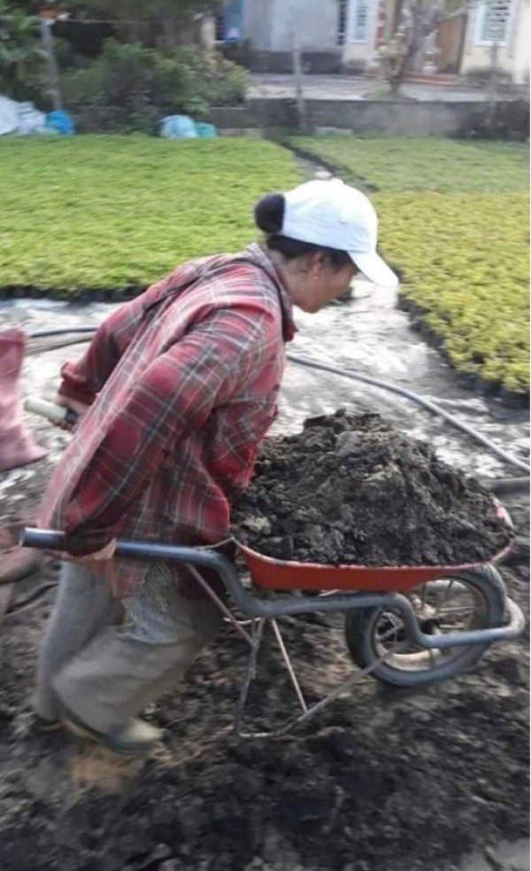 Sống đẹp với niềm đam mê cây cảnh