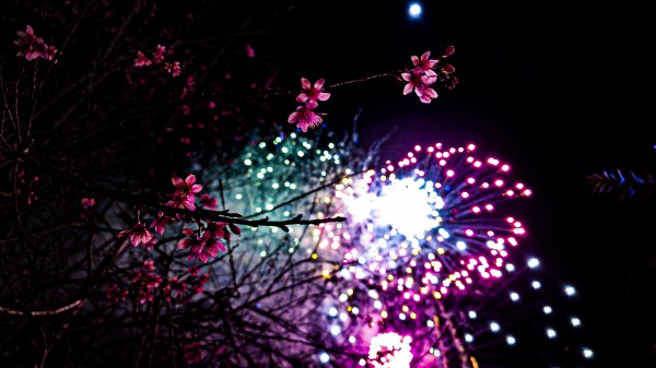 Tết Nguyên đán Bính Ngọ 2026: Quảng Ngãi bắn pháo hoa tại 2 địa điểm nào?