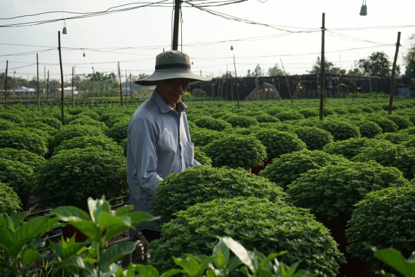 Từ nghề thuần nông đến di sản quốc gia Từ nghề thuần nông đến di sản quốc gia