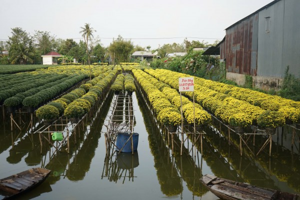 Từ nghề thuần nông đến di sản quốc gia Từ nghề thuần nông đến di sản quốc gia