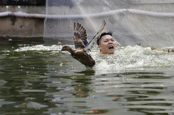 Tử vong vì trò chơi ở hội làng: dựng rào kỹ thuật hay cấm? Tử vong vì trò chơi ở hội làng: dựng rào kỹ thuật hay cấm?
