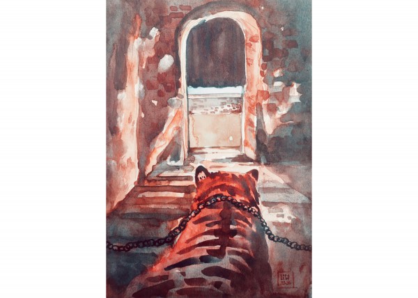 Vì sao triều Nguyễn cho 40 con voi tử chiến 18 con hổ? Vì sao triều Nguyễn cho 40 con voi tử chiến 18 con hổ?