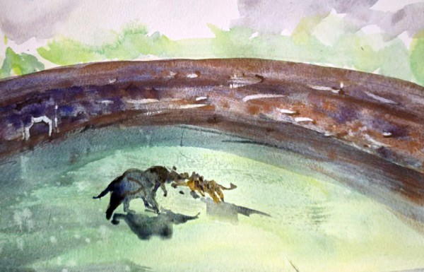 Vì sao triều Nguyễn cho 40 con voi tử chiến 18 con hổ? Vì sao triều Nguyễn cho 40 con voi tử chiến 18 con hổ?