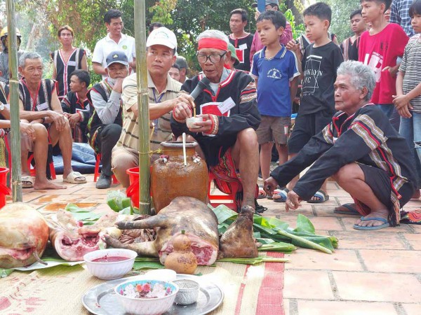 Voi Buôn Đôn được trang điểm, cúng sức khỏe, thoải mái dự tiệc buffet cây trái