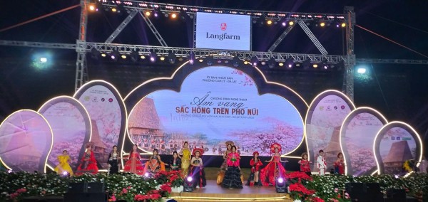 'Âm vang sắc hồng trên phố núi' Đà Lạt cuốn hút du khách 'Âm vang sắc hồng trên phố núi' Đà Lạt cuốn hút du khách