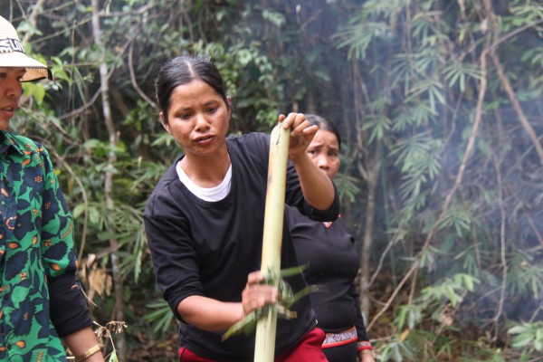 Độc đáo lễ cúng rừng của người Jrai ở Gia Lai