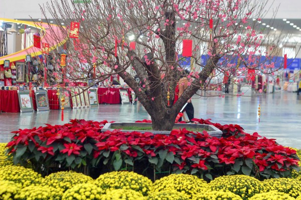 Độc lạ những tác phẩm nghệ thuật tỉa từ trái cây