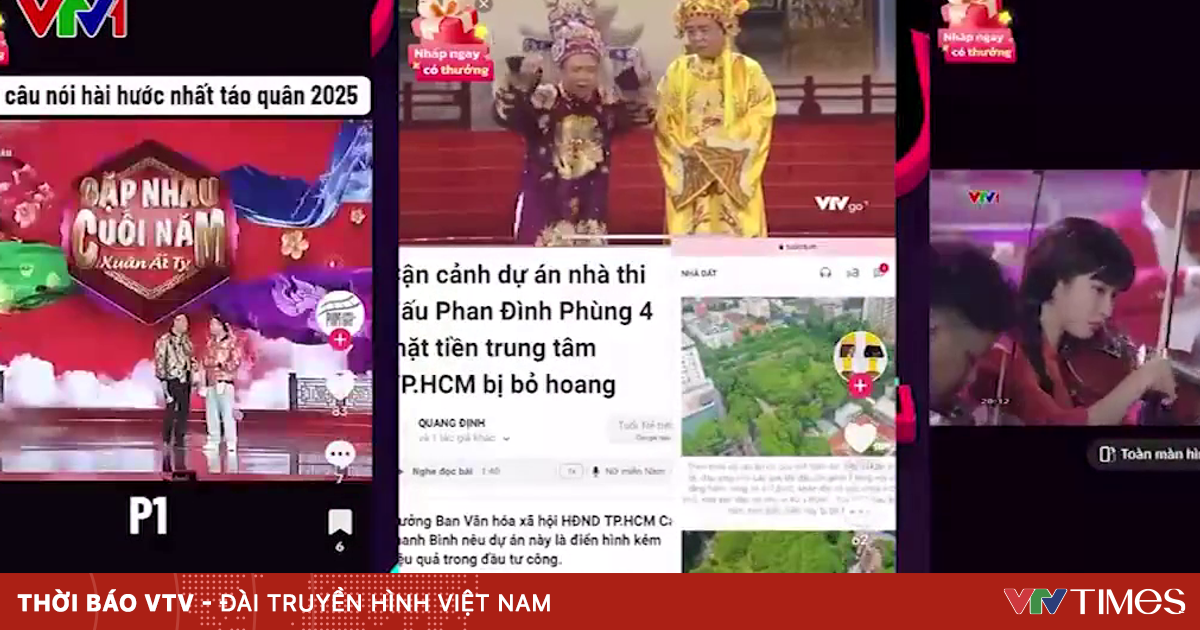 Nhiều chương trình của VTV bị vi phạm bản quyền