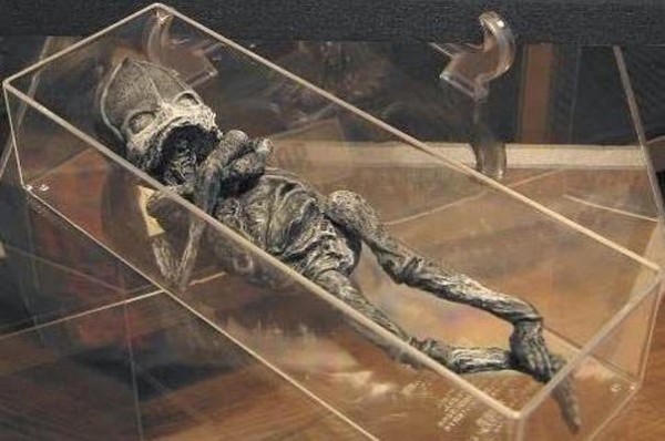 Hé lộ thân phận thực sự về sinh vật lạ nghi là “em bé ngoài hành tinh” mang lời nguyền chết chóc từng gây rúng động cách đây 23 năm Hé lộ thân phận thực sự về sinh vật lạ nghi là “em bé ngoài hành tinh” mang lời nguyền chết chóc từng gây rúng động cách đây 23 năm