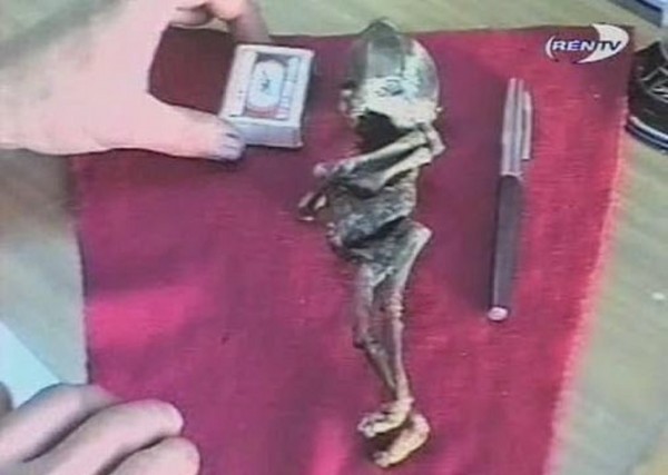 Hé lộ thân phận thực sự về sinh vật lạ nghi là “em bé ngoài hành tinh” mang lời nguyền chết chóc từng gây rúng động cách đây 23 năm Hé lộ thân phận thực sự về sinh vật lạ nghi là “em bé ngoài hành tinh” mang lời nguyền chết chóc từng gây rúng động cách đây 23 năm