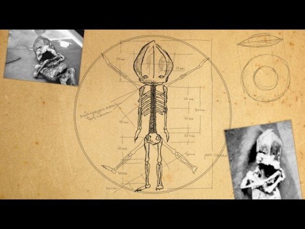 Hé lộ thân phận thực sự về sinh vật lạ nghi là “em bé ngoài hành tinh” mang lời nguyền chết chóc từng gây rúng động cách đây 23 năm Hé lộ thân phận thực sự về sinh vật lạ nghi là “em bé ngoài hành tinh” mang lời nguyền chết chóc từng gây rúng động cách đây 23 năm