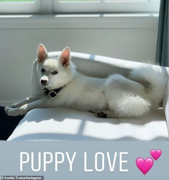 Ivanka Trump hào hứng khoe ảnh gia đình có thêm “thành viên” mới, bất ngờ bị dư luận “dội gáo nước lạnh”, chỉ trích vì lý do không ngờ Ivanka Trump hào hứng khoe ảnh gia đình có thêm “thành viên” mới, bất ngờ bị dư luận “dội gáo nước lạnh”, chỉ trích vì lý do không ngờ