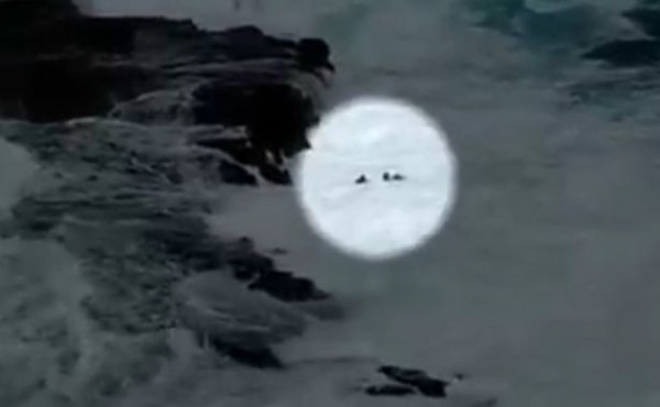 Khoảnh khắc thót tim: Bất chấp cảnh báo, cặp đôi vô tư chụp ảnh trên vách đá rồi bị sóng đánh "sấp mặt", chới với dưới nước kêu cứu Khoảnh khắc thót tim: Bất chấp cảnh báo, cặp đôi vô tư chụp ảnh trên vách đá rồi bị sóng đánh "sấp mặt", chới với dưới nước kêu cứu