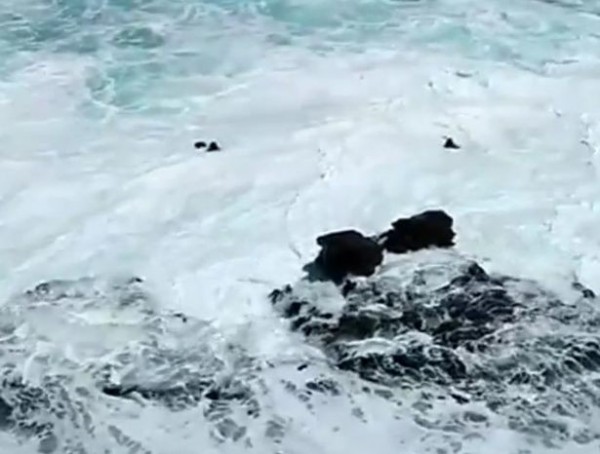 Khoảnh khắc thót tim: Bất chấp cảnh báo, cặp đôi vô tư chụp ảnh trên vách đá rồi bị sóng đánh "sấp mặt", chới với dưới nước kêu cứu Khoảnh khắc thót tim: Bất chấp cảnh báo, cặp đôi vô tư chụp ảnh trên vách đá rồi bị sóng đánh "sấp mặt", chới với dưới nước kêu cứu