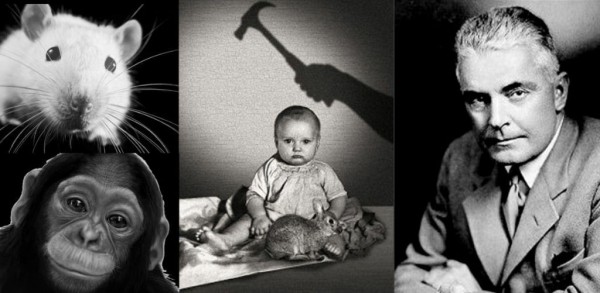 Loạt thí nghiệm tâm lý về tình mẫu tử bị chỉ trích là vô nhân đạo nhưng lại đặt nền tảng cho phương pháp nuôi dạy con của cha mẹ hiện đại Loạt thí nghiệm tâm lý về tình mẫu tử bị chỉ trích là vô nhân đạo nhưng lại đặt nền tảng cho phương pháp nuôi dạy con của cha mẹ hiện đại