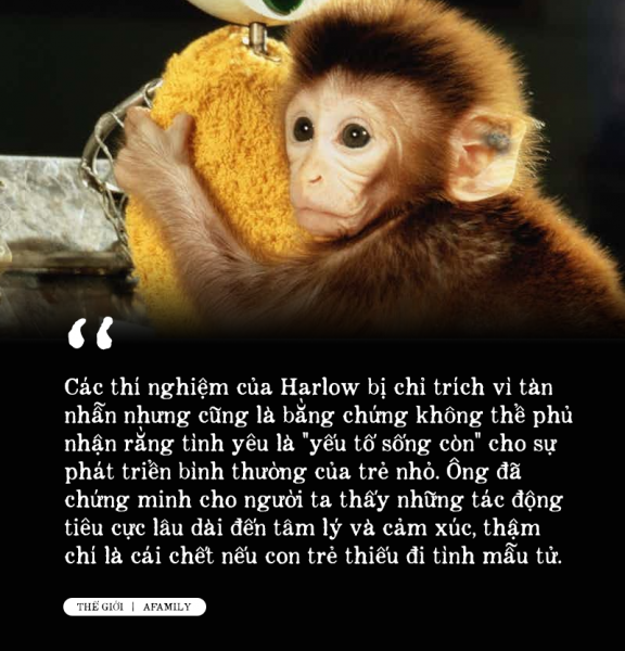 Loạt thí nghiệm tâm lý về tình mẫu tử bị chỉ trích là vô nhân đạo nhưng lại đặt nền tảng cho phương pháp nuôi dạy con của cha mẹ hiện đại Loạt thí nghiệm tâm lý về tình mẫu tử bị chỉ trích là vô nhân đạo nhưng lại đặt nền tảng cho phương pháp nuôi dạy con của cha mẹ hiện đại