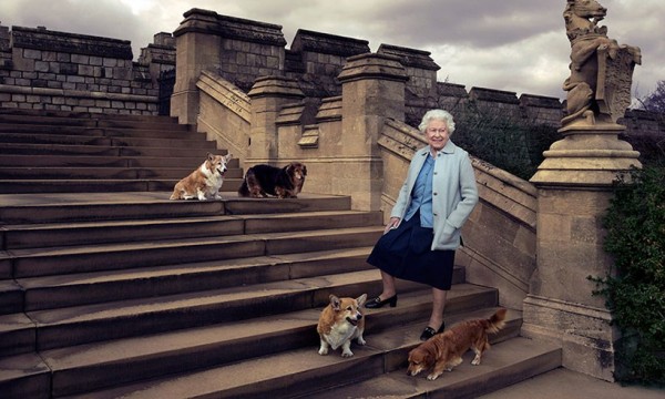 Meghan Markle nổ ra xích mích với Nữ hoàng Anh, khiến người đứng đầu hoàng gia phải đưa ra lời cảnh cáo Meghan Markle nổ ra xích mích với Nữ hoàng Anh, khiến người đứng đầu hoàng gia phải đưa ra lời cảnh cáo