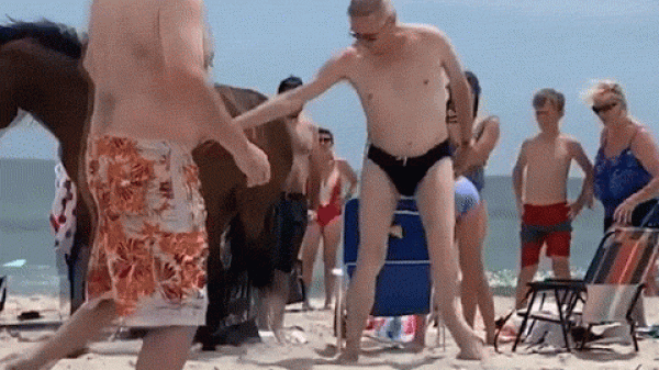 Phớt lờ biển báo CẤM SỜ, người đàn ông hiếu kỳ liền bị ngựa đá vào "của quý" Phớt lờ biển báo CẤM SỜ, người đàn ông hiếu kỳ liền bị ngựa đá vào "của quý"