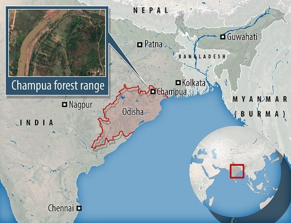 Voi xông vào nhà dân giữa đêm, "đánh cắp" và giẫm chết bé gái 7 tuổi, làm 2 đứa trẻ khác nguy kịch khiến dư luận bàng hoàng Voi xông vào nhà dân giữa đêm, "đánh cắp" và giẫm chết bé gái 7 tuổi, làm 2 đứa trẻ khác nguy kịch khiến dư luận bàng hoàng