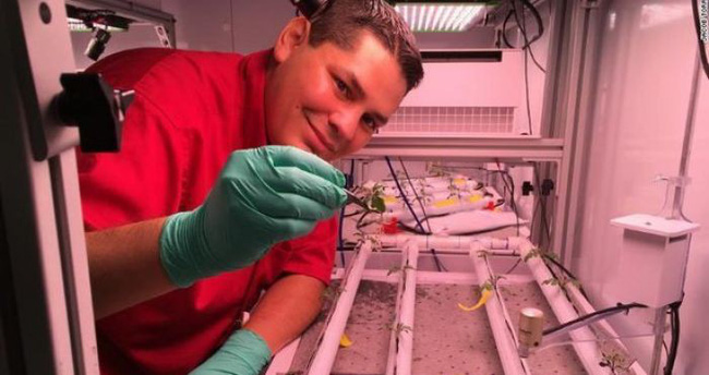 Cây ớt sẽ được trồng ngoài vũ trụ